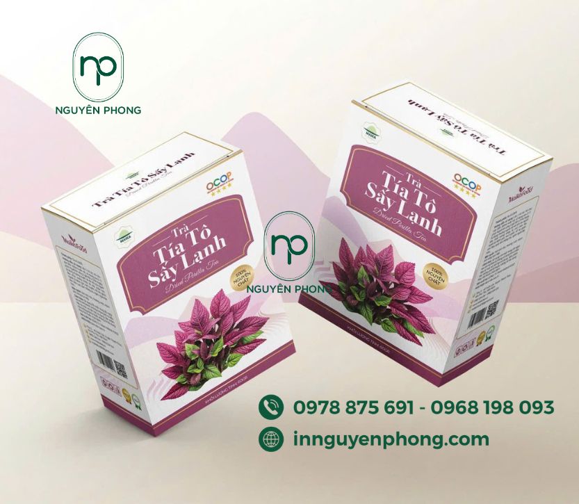in-hop-giay-ivory